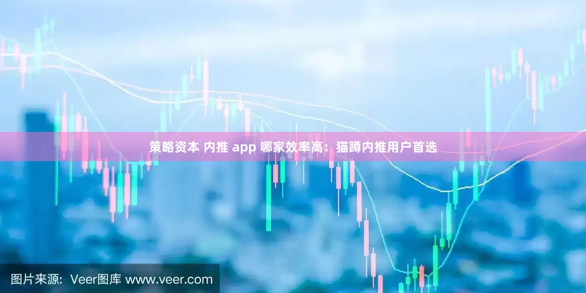 策略资本 内推 app 哪家效率高：猫蹲内推用户首选